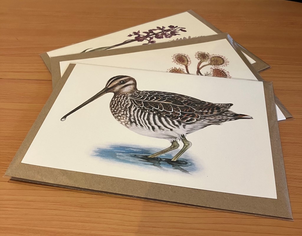 Wildlife-Watercolour-illustrated-Cards Wildlife-Watercolour-illustrated-Cards